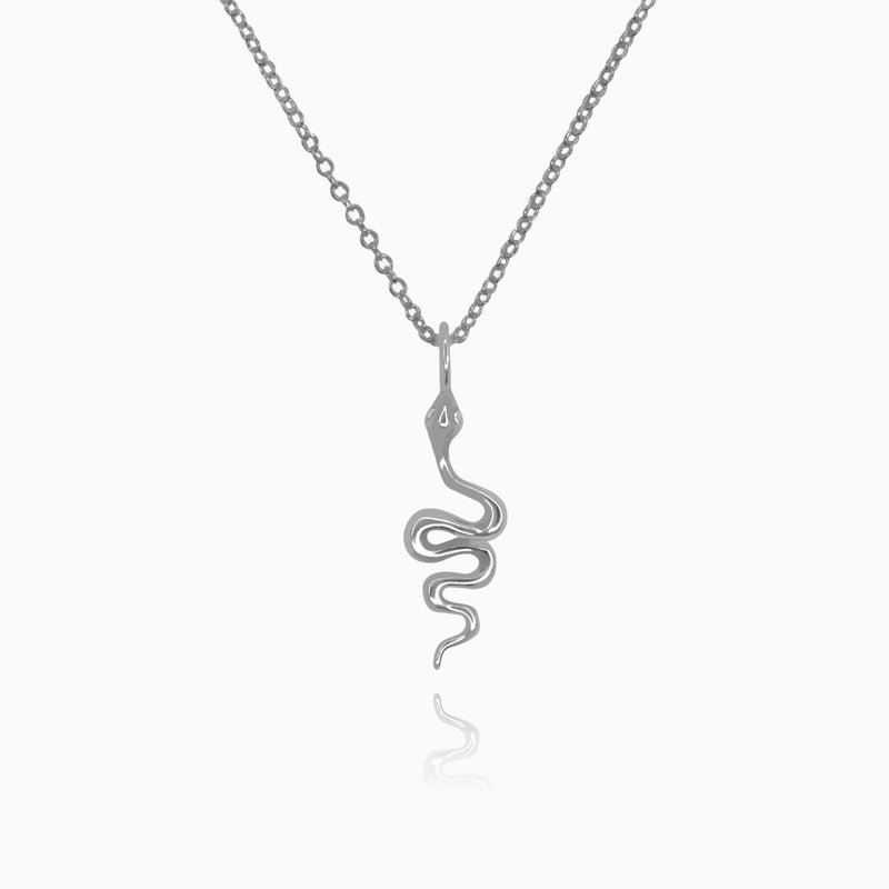 Collar Vibora Plata - DiversoWomen